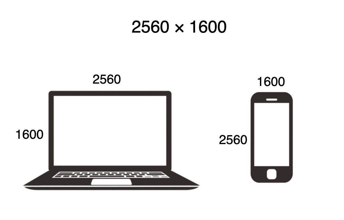 image-20220223135233028